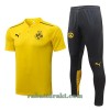 BVB Borussia Dortmund Trenings Polo 22-23 Gul - Herre